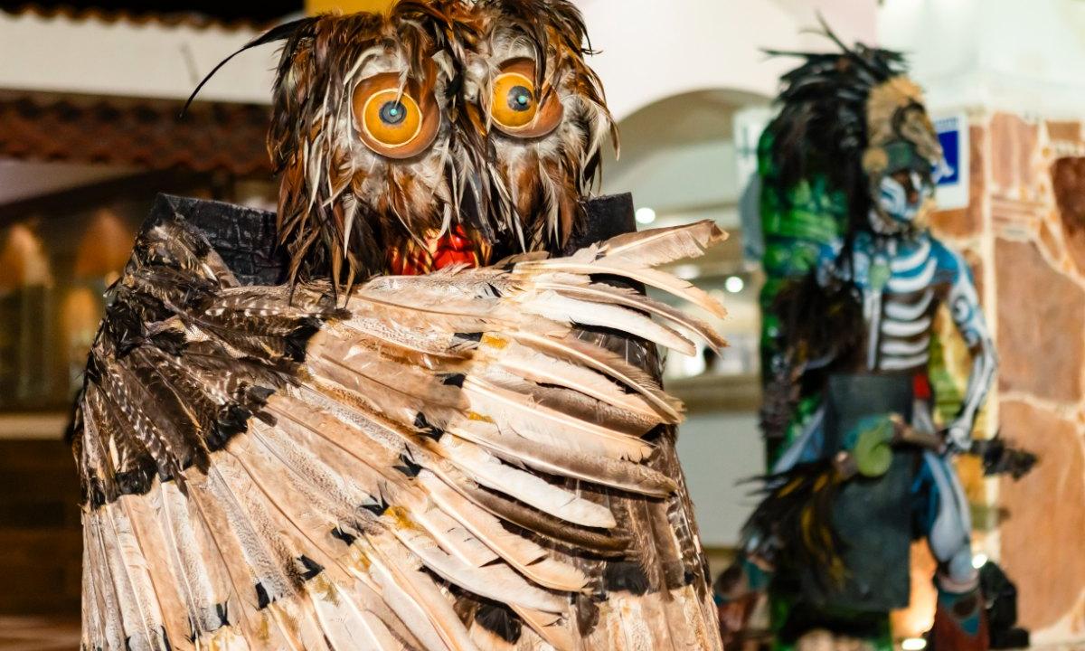 Show Maya Cozumel Hotel & Resort Cozumel Show Maya Cozumel Hotel & Resort Cozumel