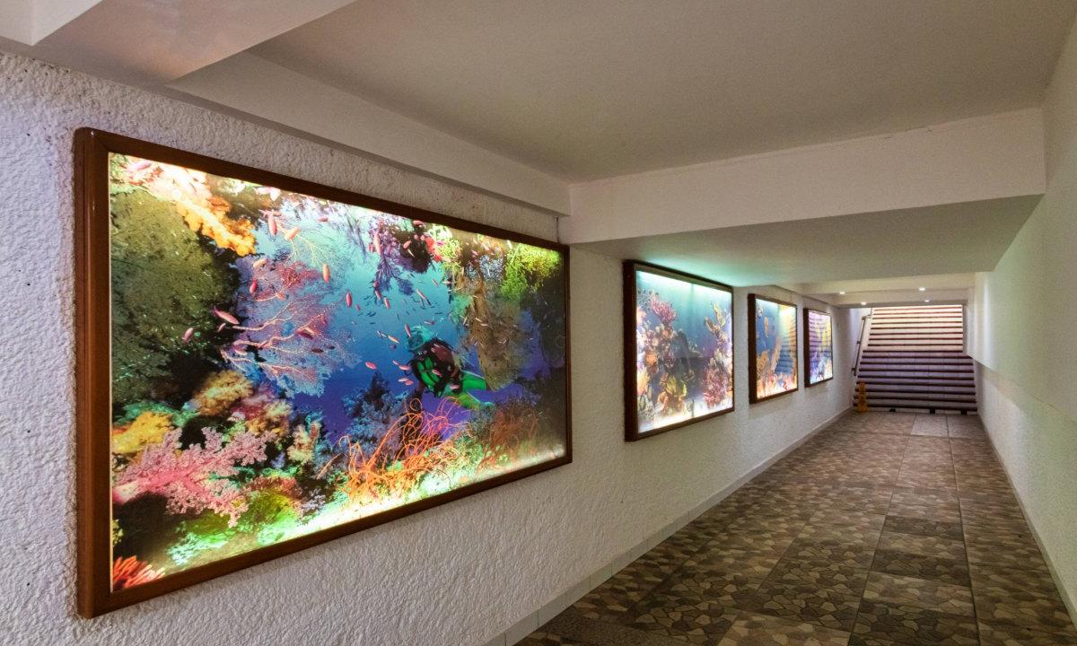 Exteriores Cozumel Hotel & Resort Cozumel Exteriores Cozumel Hotel & Resort Cozumel