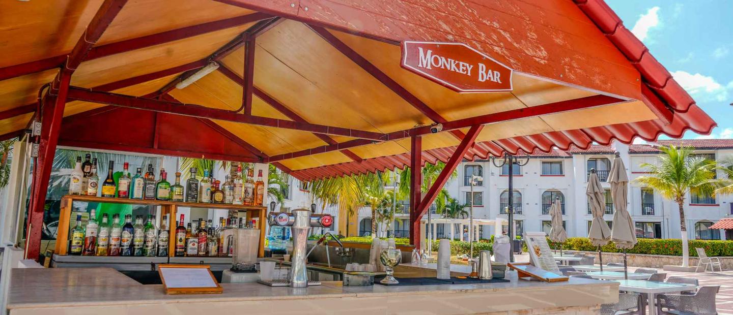 Bar Los Delfines Bar Los Delfines